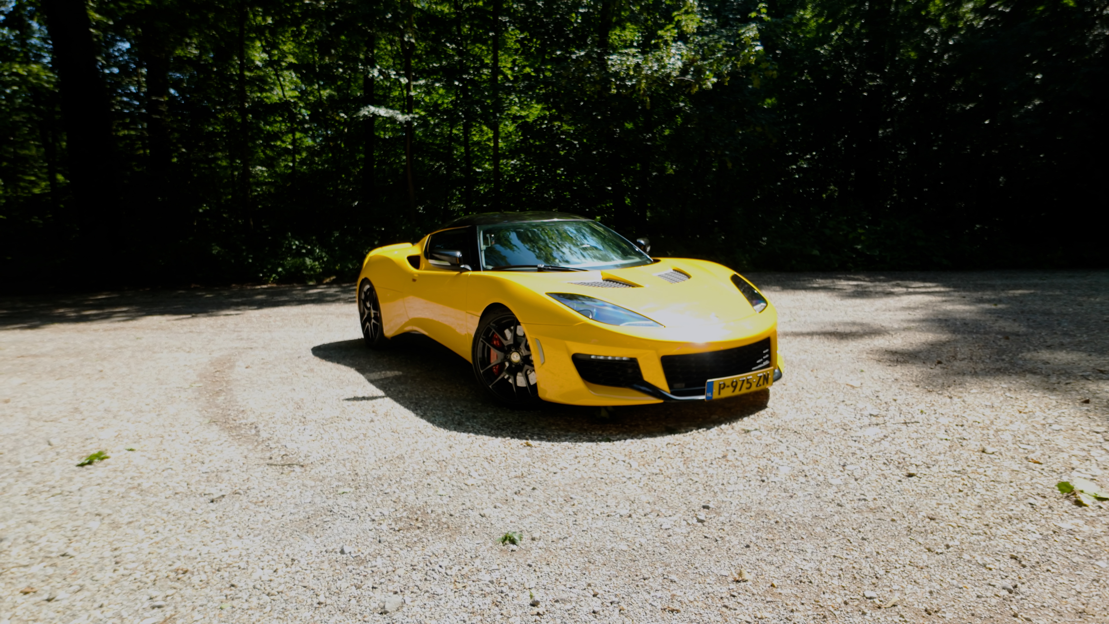 Lotus